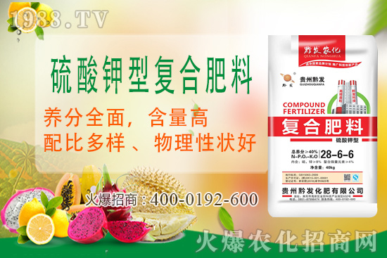 ǭ�l(f��)�ʘI(y��)�ٶȔy��1988.TV���y�ִ����������E��