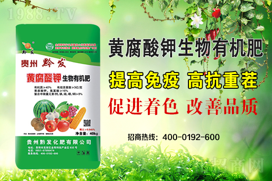 ǭ�l(f��)�ʘI(y��)�ٶȔy��1988.TV���y�ִ����������E��