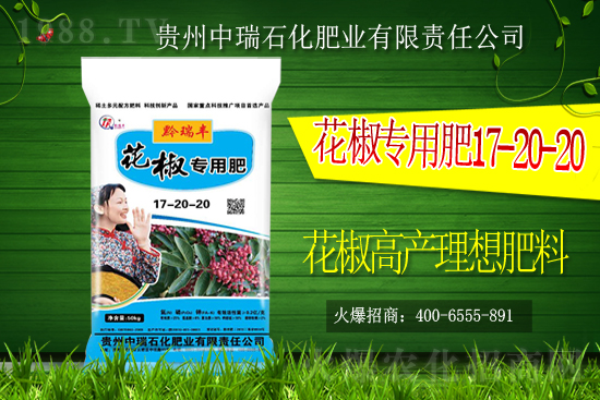     ����ʯ���ʘI(y��)�𱬁��u���ٺ����r(n��ng)�����̾W(w��ng)���_��(chu��ng)���x����