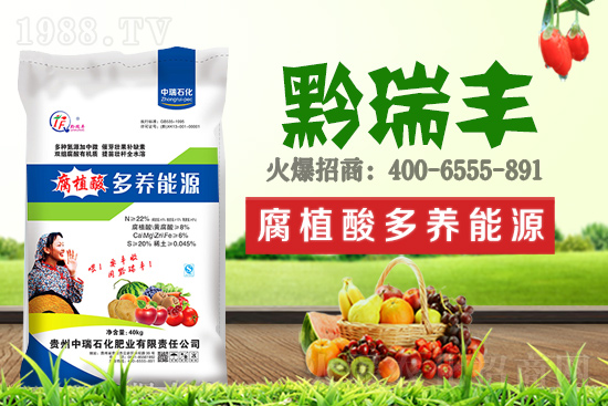     ����ʯ���ʘI(y��)�𱬁��u���ٺ����r(n��ng)�����̾W(w��ng)���_��(chu��ng)���x����