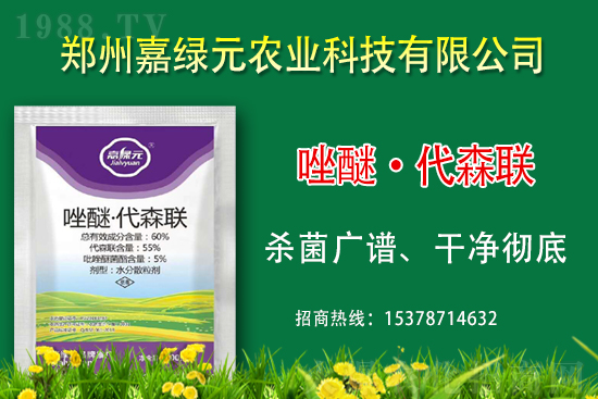 ����������(j��)���ξGԪ�r(n��ng)�I(y��)�ٺ�1988.TV������(chu��ng)���x����