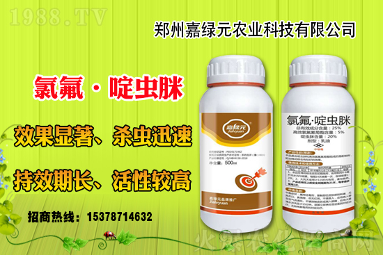 ����������(j��)���ξGԪ�r(n��ng)�I(y��)�ٺ�1988.TV������(chu��ng)���x����