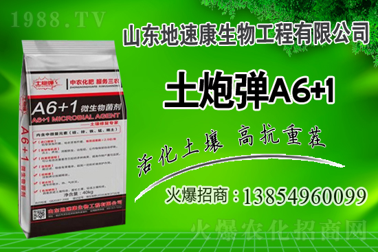    合作關(guān)系再升華，山東地速康與1988.TV開啟新篇章！