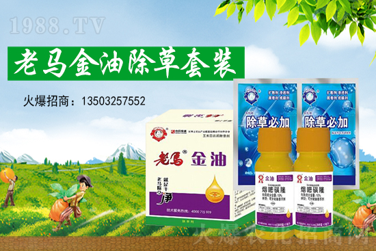 �ݸ�좃r(ji��)��(chu��ng)�¸���2021��7��15�ղݸ�좃r(ji��)���߄�(sh��)