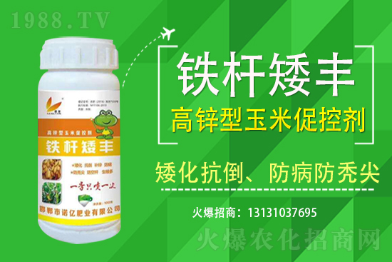 ���׃r������2021��7��19��