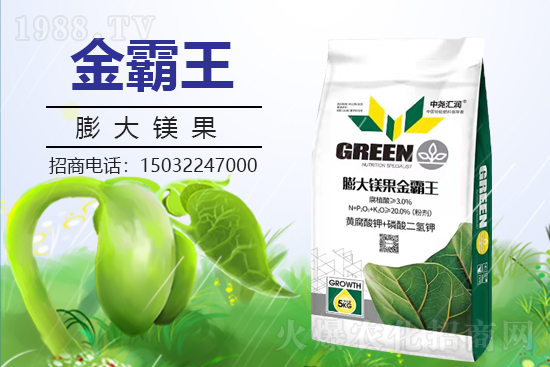 �r(n��ng)���W(w��ng)ϲӭ���������Ј�R�����s1988.TV�y�ִ����������E��