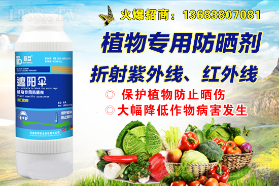  �W���r(n��ng)�I(y��)�m(x��)�s1988.TV���y�ֹ���(chu��ng)���x����