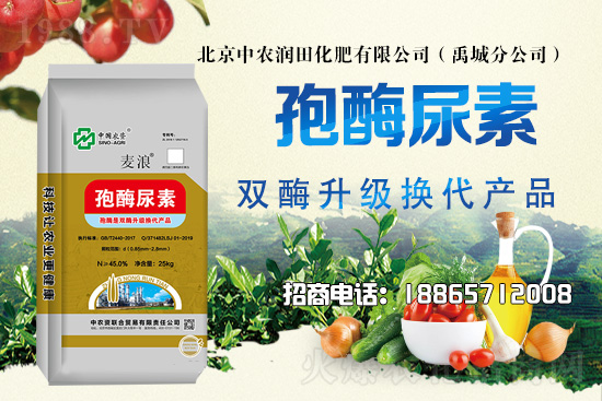 �ĺ����Ｐ�r��ˮɢ�����ƌW�������ò��x������