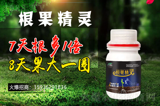 ��ɫ�и��m���m(x��)1988.TV�����\�����°l(f��)չ��