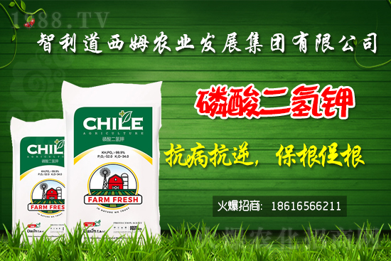 ��������ķ�ٺ�1988.TV���_���W(w��ng)�j(lu��)������ģʽ��