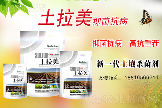 ��������ķ�ٺ�1988.TV���_���W(w��ng)�j(lu��)������ģʽ��