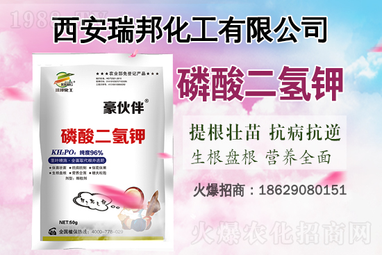 ⛷ʃr(ji��)��߀���ٝq����7��31�ո���⛷ʃr(ji��)������һ�[