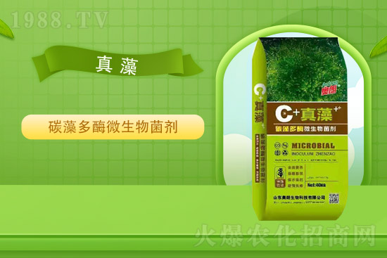 ɽ�|�W�������ٺ�1988.TV���y�ִ����������E��