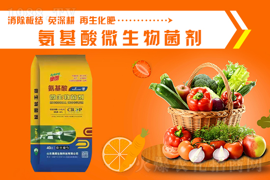 ɽ�|�W�������ٺ�1988.TV���y�ִ����������E��