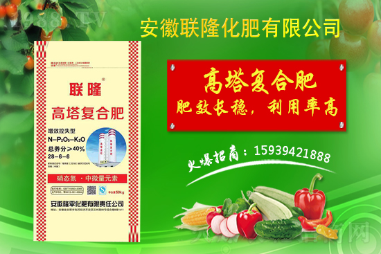 �����P(gu��n)ϵ�����A��(li��n)¡�����m(x��)�s1988.TV�����\�����°l(f��)չ��