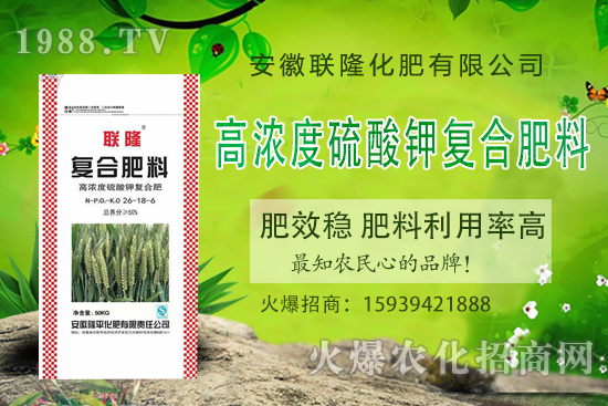 �����P(gu��n)ϵ�����A��(li��n)¡�����m(x��)�s1988.TV�����\�����°l(f��)չ��