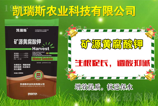 �y��ͬ�У����\�l(f��)չ����ϲ�P��˹�r(n��ng)�I(y��)�ٺ�1988.TV��