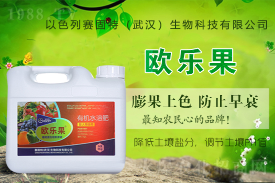 ��ɫ��ِ�����ٶȔy��1988.TV���y�ֹ���(chu��ng)��(zh��n)�����ل�(chu��ng)�x�ͣ�