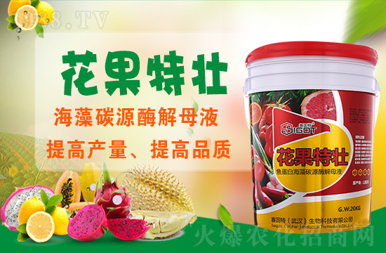 ��ɫ��ِ�����ٶȔy��1988.TV���y�ֹ���(chu��ng)��(zh��n)�����ل�(chu��ng)�x�ͣ�