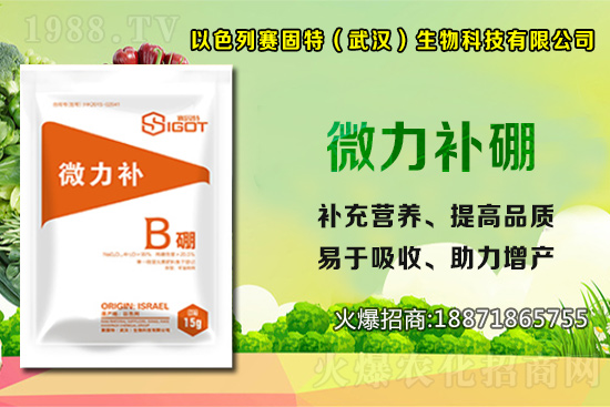 ��ɫ��ِ�����ٶȔy��1988.TV���y�ֹ���(chu��ng)��(zh��n)�����ل�(chu��ng)�x�ͣ�