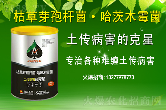 ��ռ�̙C���������A�����������y���r(n��ng)���W(w��ng)�ل�(chu��ng)���x����