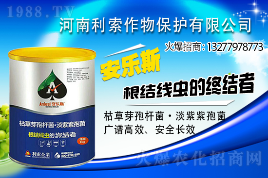 ��ռ�̙C���������A�����������y���r(n��ng)���W(w��ng)�ل�(chu��ng)���x�ͣ�