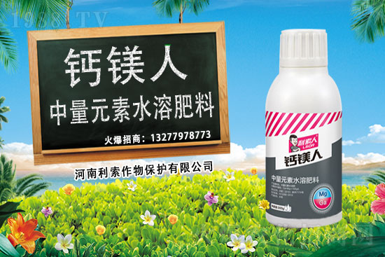 ��ռ�̙C���������A�����������y���r(n��ng)���W(w��ng)�ل�(chu��ng)���x�ͣ�