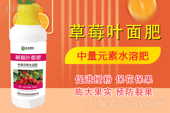 �����l(f��)չ������(chu��ng)δ�����������ﺞ�s1988.TV������(chu��ng)���x����