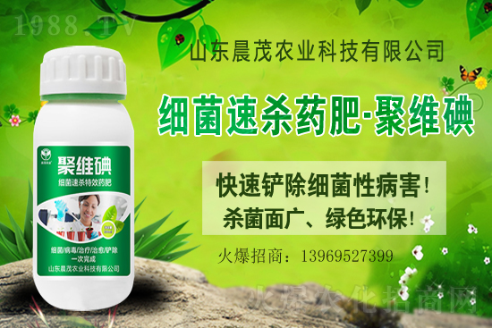 2021.8.3�R��횢�����r(ji��)���Ո�(b��o)