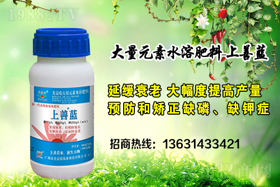 �V���������r(n��ng)�ٶȔy��1988.TV���y�ֹ���(chu��ng)��(zh��n)��(j��)��