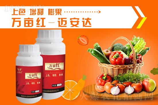 2021��9��24�Շ���⛷ʃr�������߄�