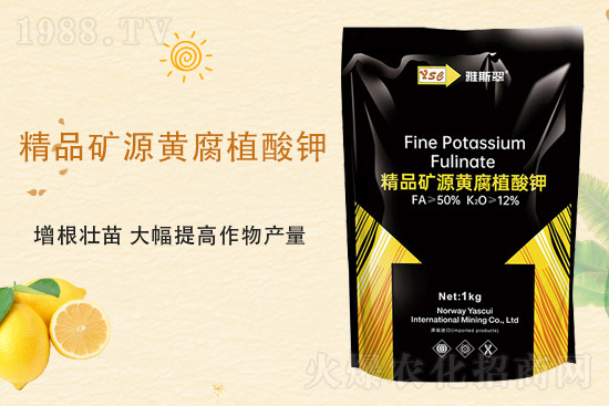 2021��9��25�Շ���(n��i)���؃r(ji��)�������Ӎ