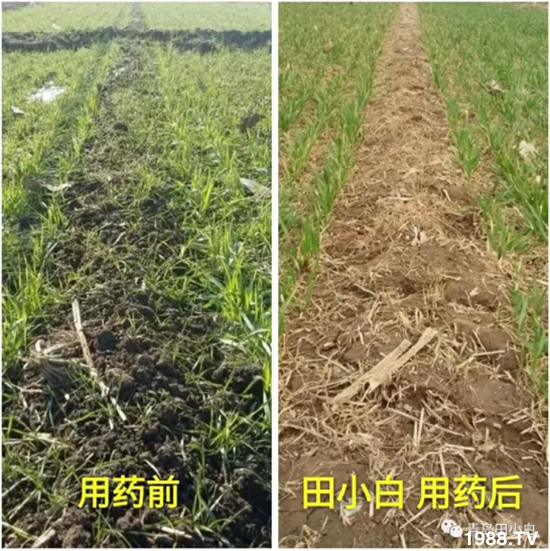 ��(ji��)��(ji��)��Σ��������ô����ʲôˎ��Ч������