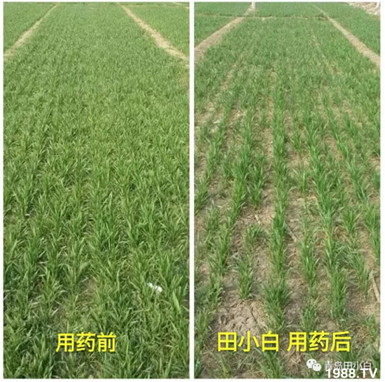 ��(ji��)��(ji��)��Σ��������ô����ʲôˎ��Ч������