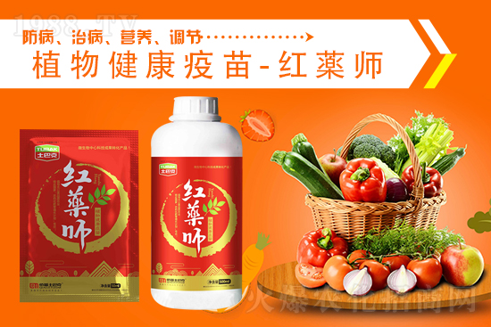 ���@�r���λ��ͦ��2021.9.4�������@�r�����飺