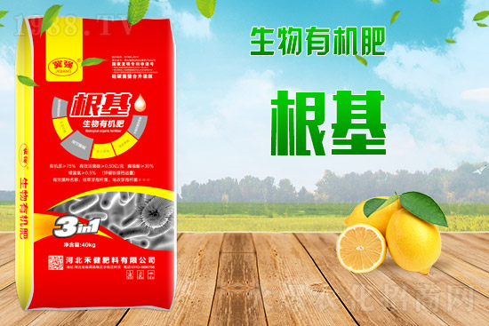 2021��9��9��⛷ʃr���������