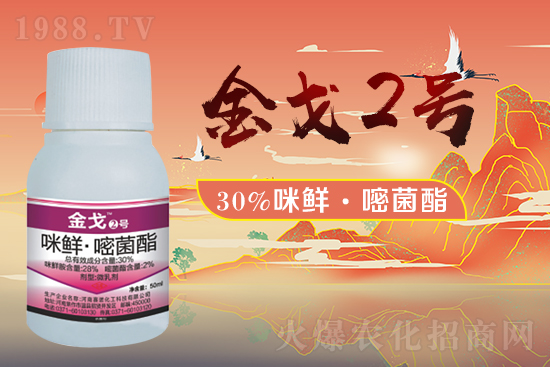 ��ِ�Z������ף�V��(j��ng)�N�����ѻ�����\(y��n)����ס��ؔ(c��i)�\(y��n)�L�L��(l��i)��