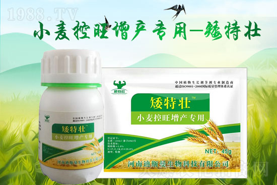 【迪斯曼】給大家拜年啦!祝大家2022年虎年大吉,闔家歡樂(lè),春節(jié)快樂(lè)!