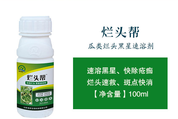 ɽ�|���r(n��ng)-���^��_02