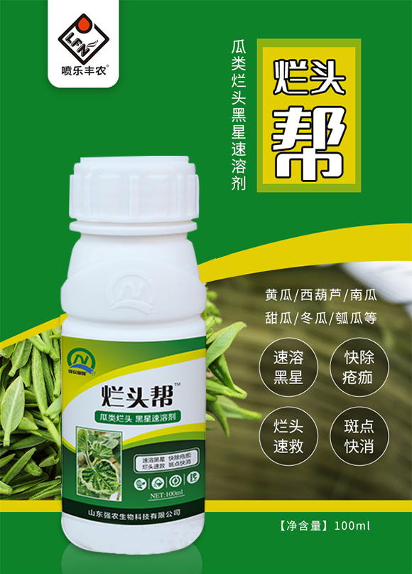 ɽ�|���r(n��ng)-���^��_01