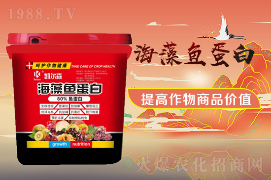 【尚臻科技】恭祝朋友們新年更有新氣象!新的一年里大展宏圖!