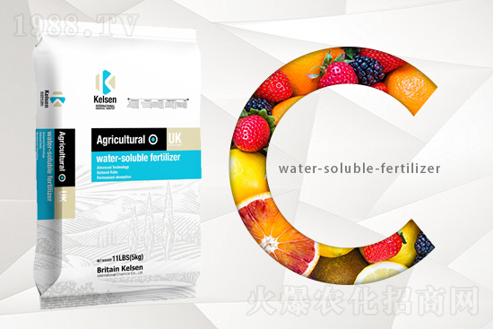 【尚臻科技】恭祝朋友們新年更有新氣象!新的一年里大展宏圖!