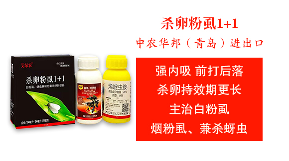 ���r(n��ng)�A����u���M�������޹�˾3_03