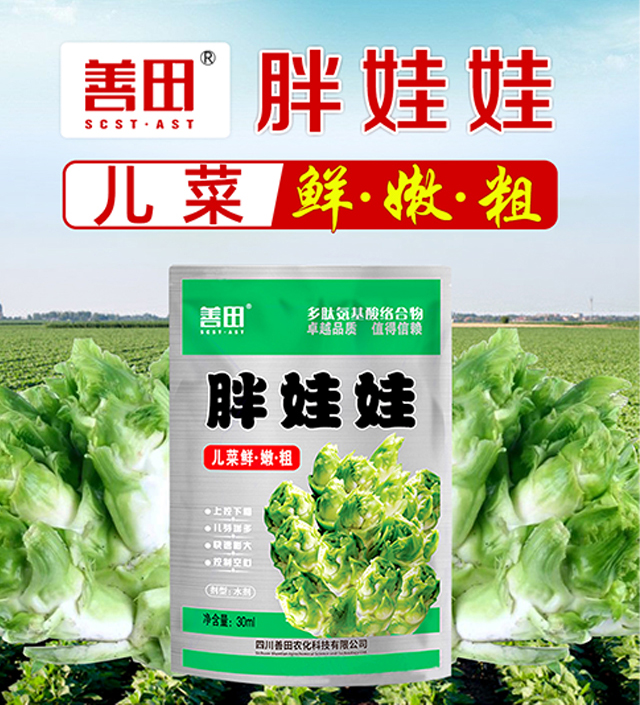 ������-����_02