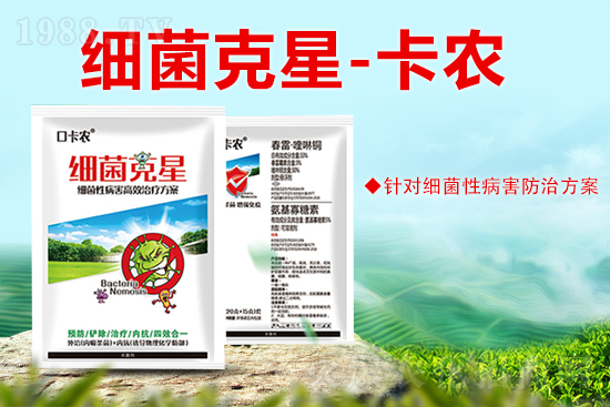 ɽ�|���r���W���޹�˾38