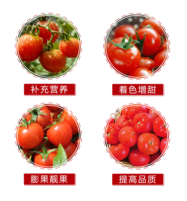 �ЙCˮ�ܷ���-�t-�֠���(y��u)_05