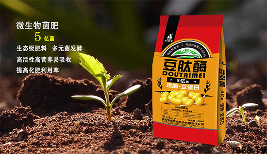 ΢�������