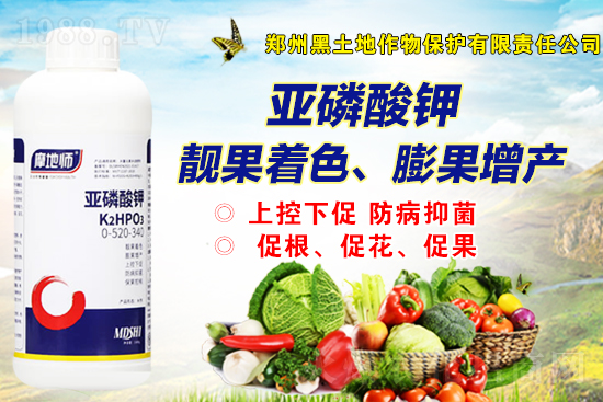 2022��2��19�����@��r�Ƕ�����