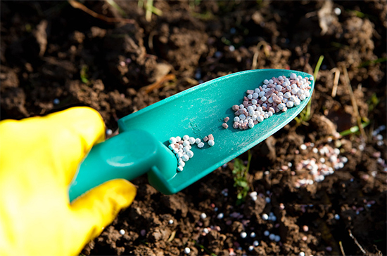 重磅!第七屆成都種業(yè)博覽會(huì)定檔11月18日
