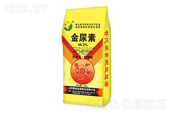 ���؃r���ϝq��2022.3.11���؃r������һ�[